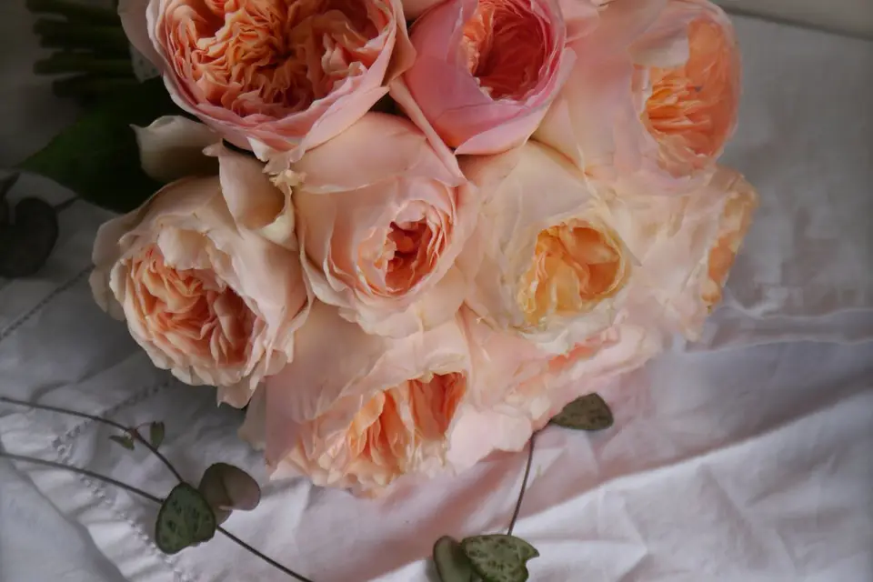 On the Sunny Side — photo 4