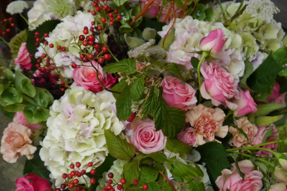 On the Sunny Side — photo 2