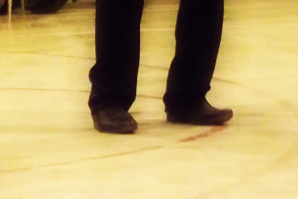 Cantalive — photo 6