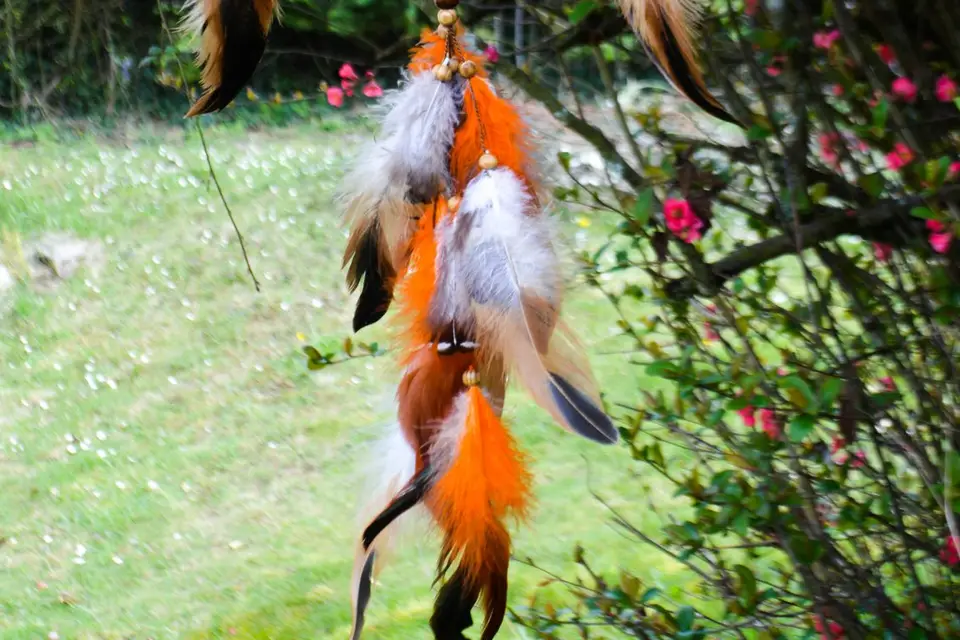 L’Évasion — photo 7