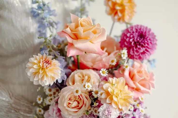 Ecrin d'un Jour — photo 3