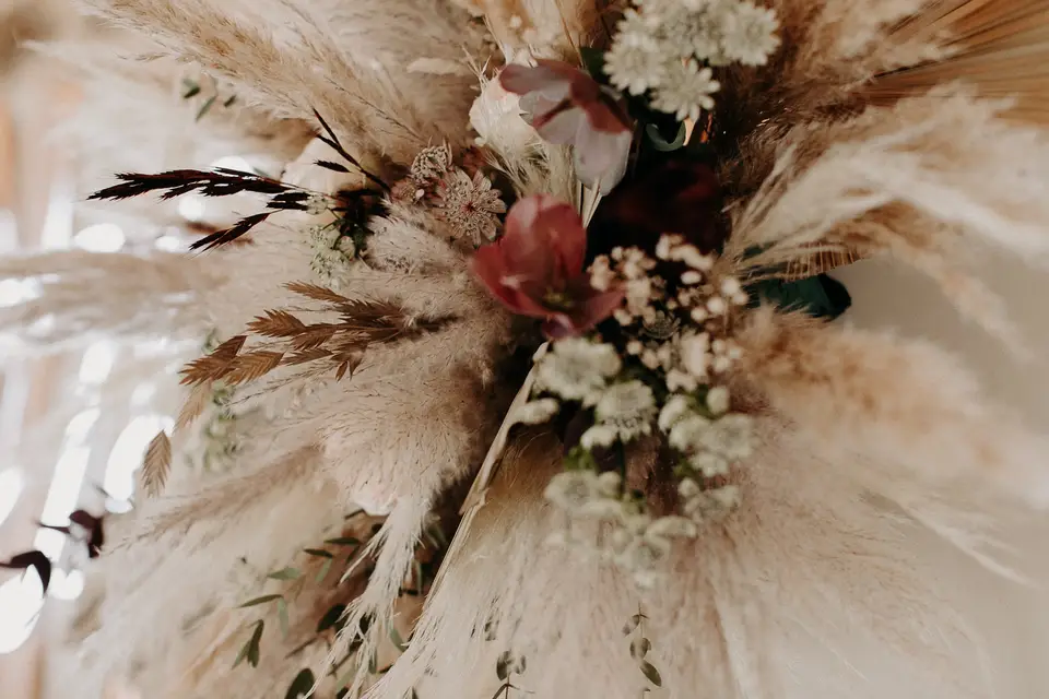 Ma jungle panachée — photo 6