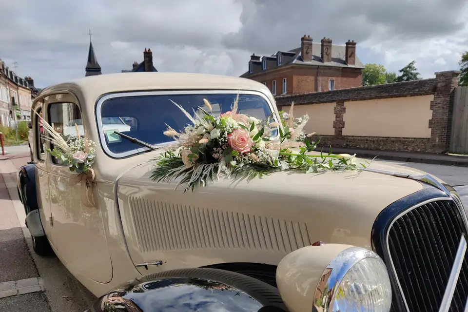 Ma jungle panachée — photo 2