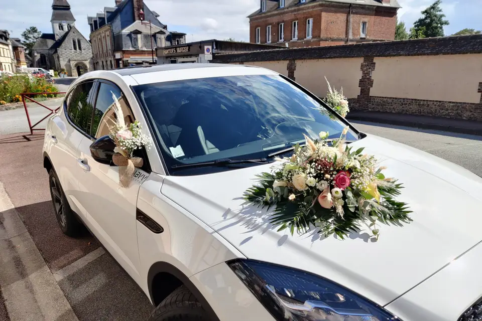 Ma jungle panachée — photo 1