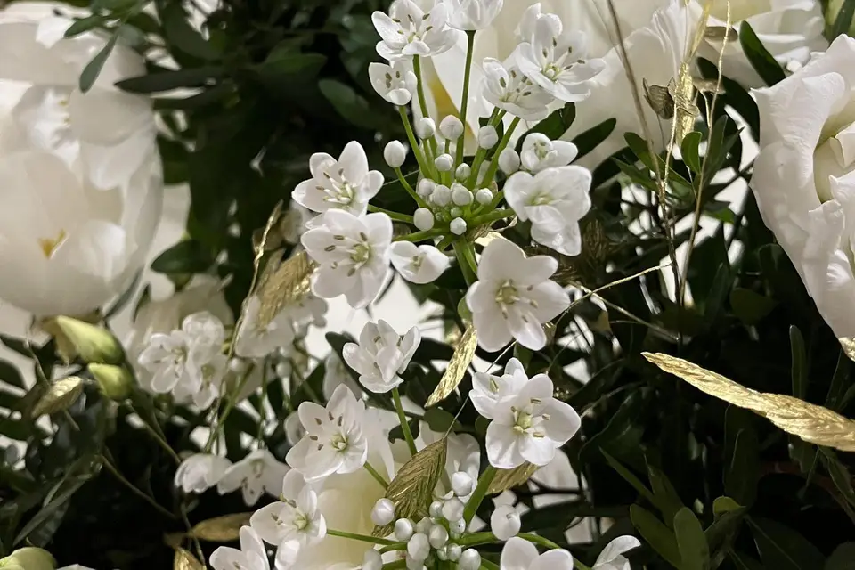 Oya Fleurs Tours — photo 6