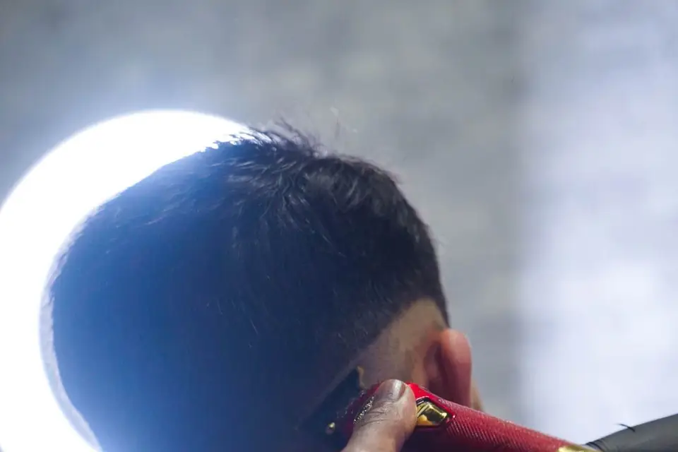 La Dyrurgie — photo 7