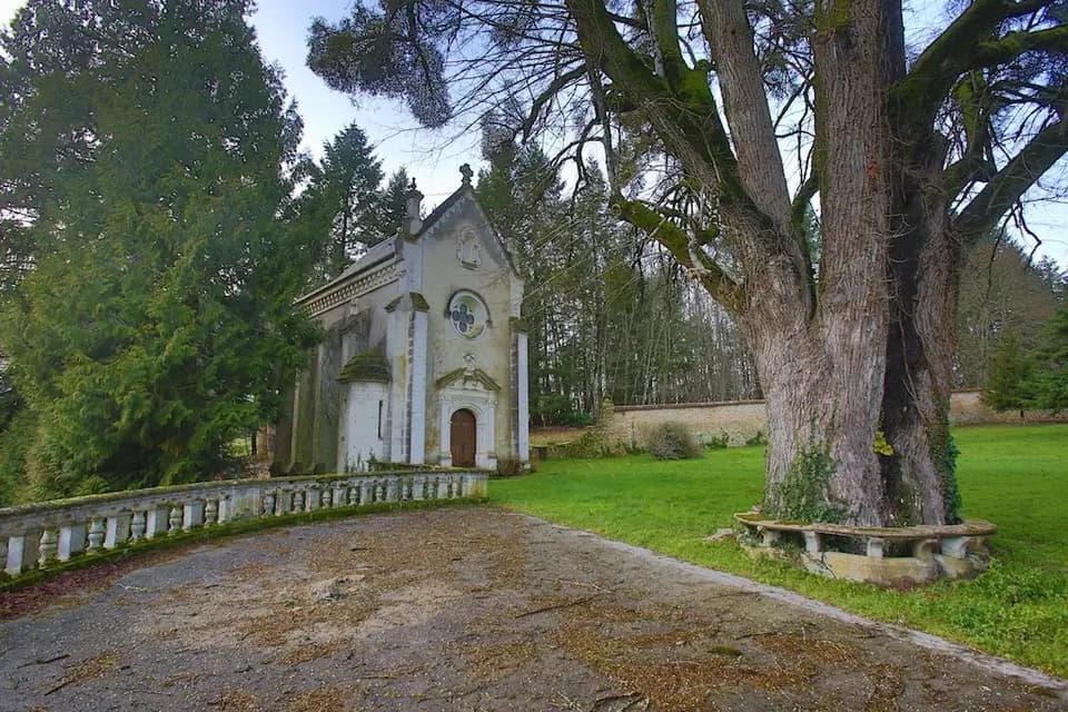 Château Rocher — photo 5