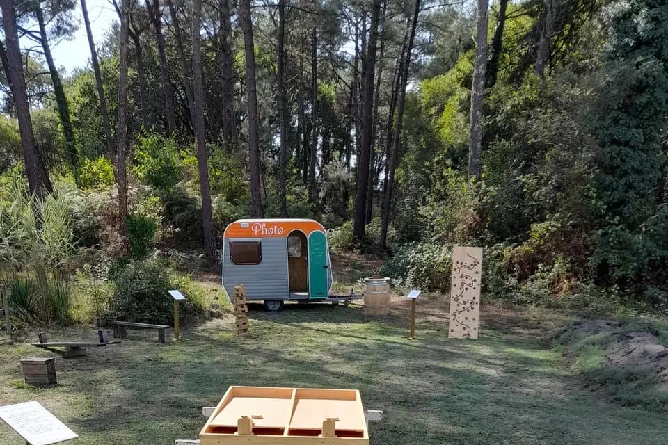 Landaise Des Jeux — photo 8