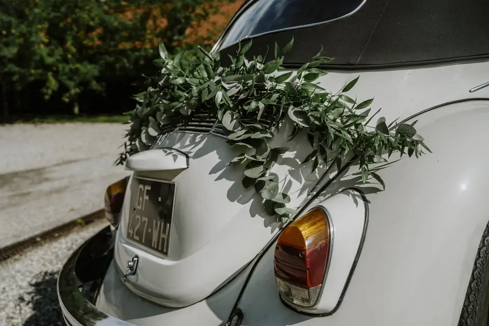 L’Agave — photo 1