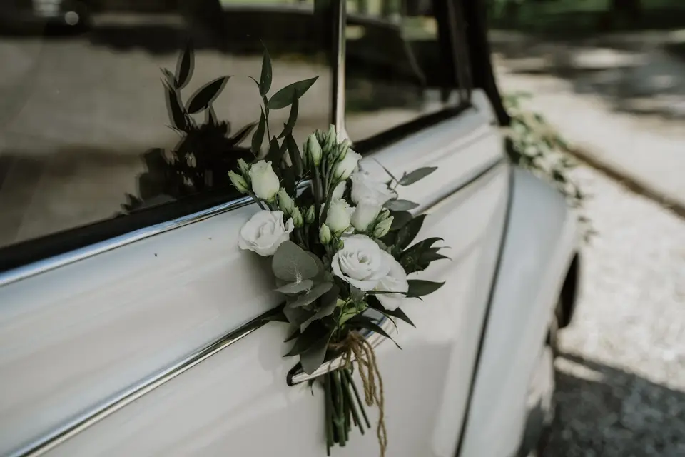 L’Agave — photo 6