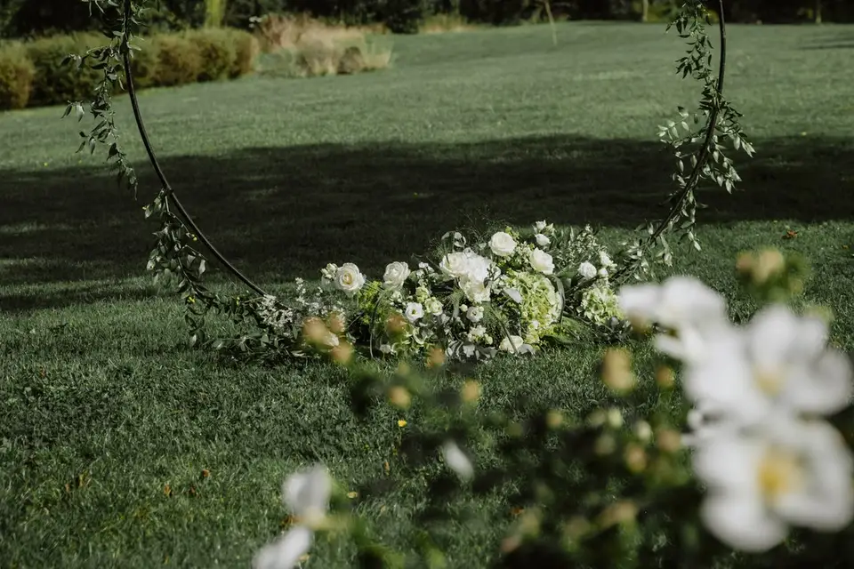 L’Agave — photo 5