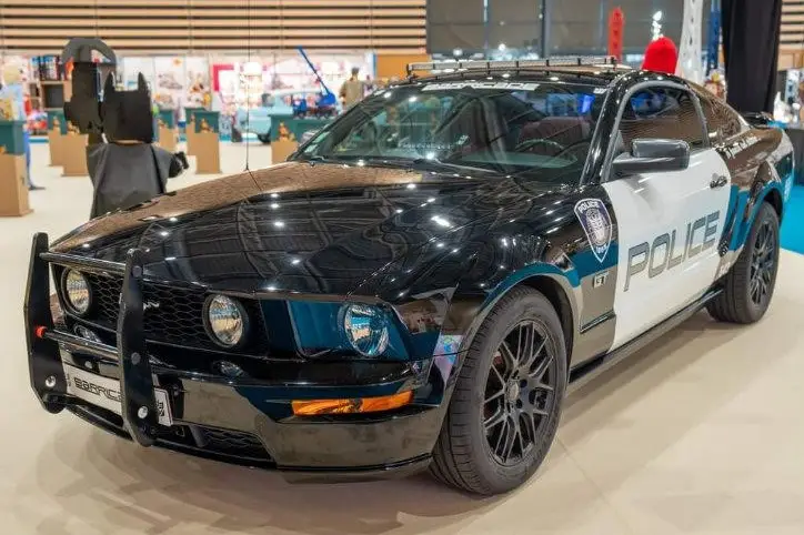 Jerome Camaro — photo 8