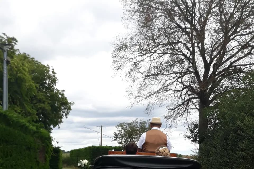 Les Attelages de Saint-Nicolas — photo 3