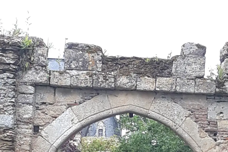 Les Attelages de Saint-Nicolas — photo 2