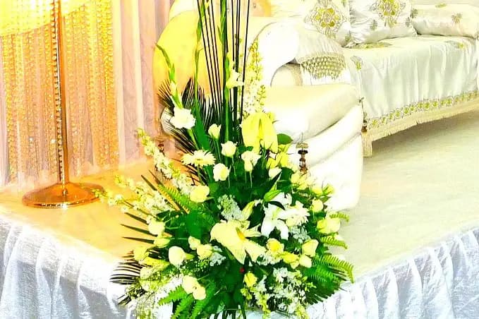 Elmira Events — photo 8