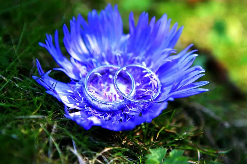 Seren Stoloff Photographe — photo 4