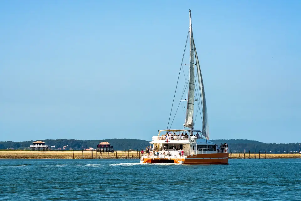 Le Côte d'Argent — photo 5