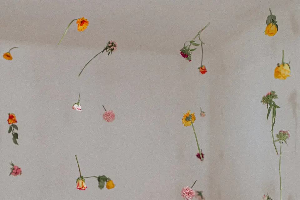 L'Instant M Evénements — photo 4