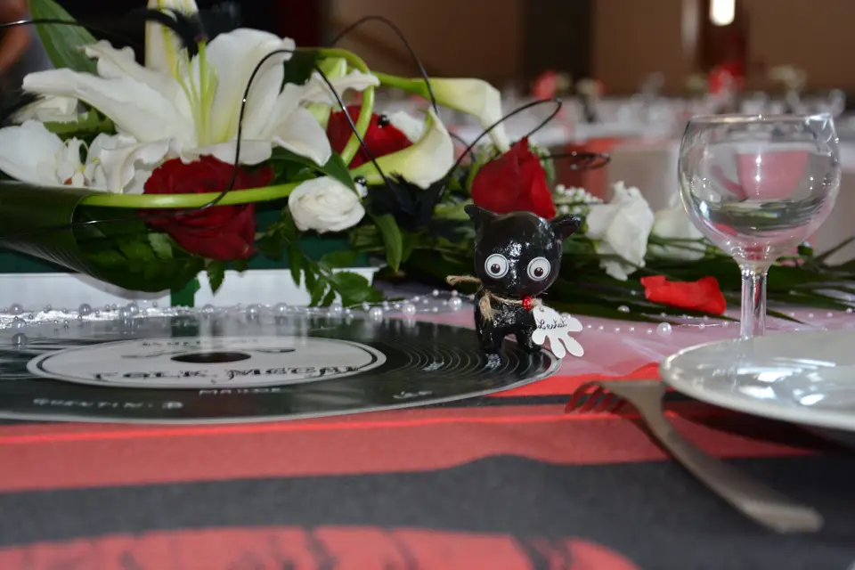 Harmonie & Concept — photo 6