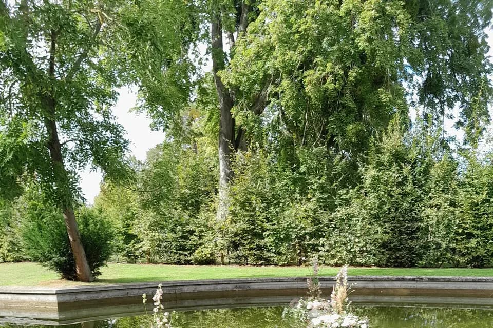 ID Fleurs — photo 4