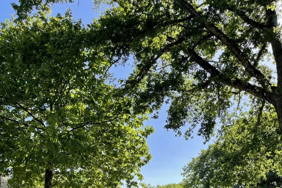 Le Petit Villenseau — photo 5