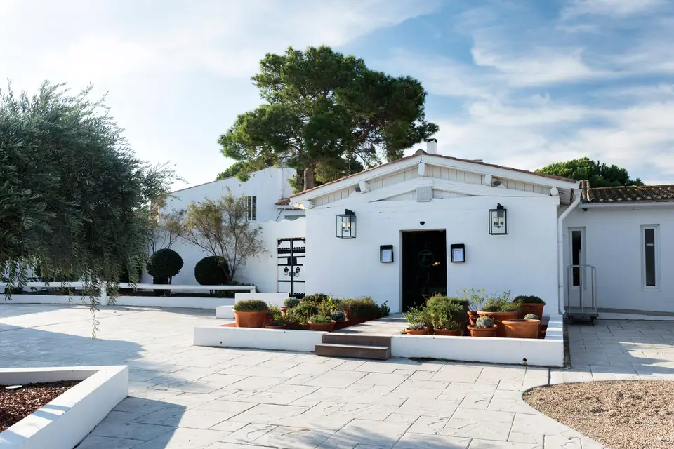 Mas de la Fouque — photo 5