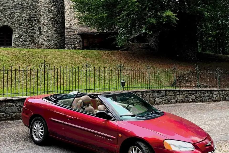 Animascotte — photo 5