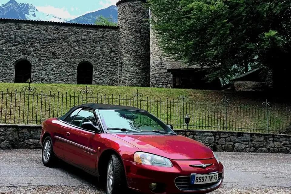 Animascotte — photo 6