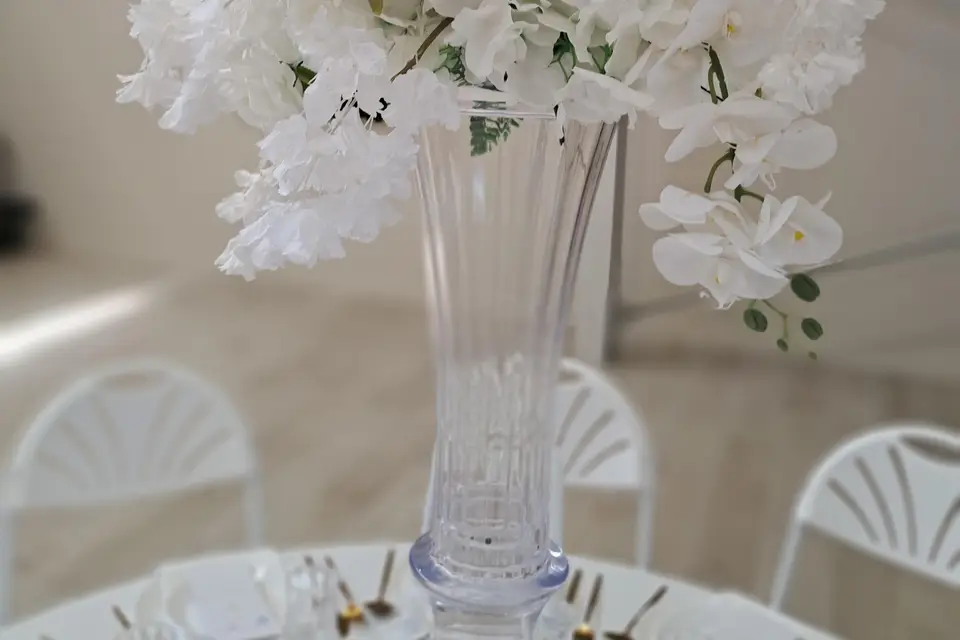 Complexe Marie Louise — photo 6