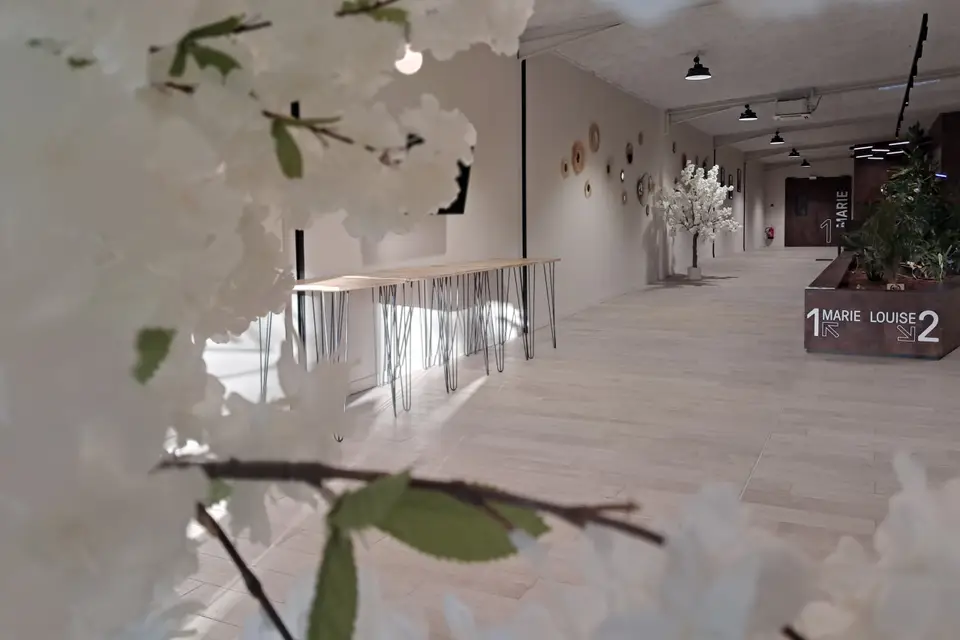 Complexe Marie Louise