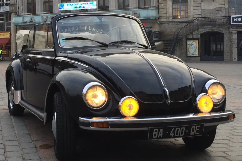 Coxlille — photo 6