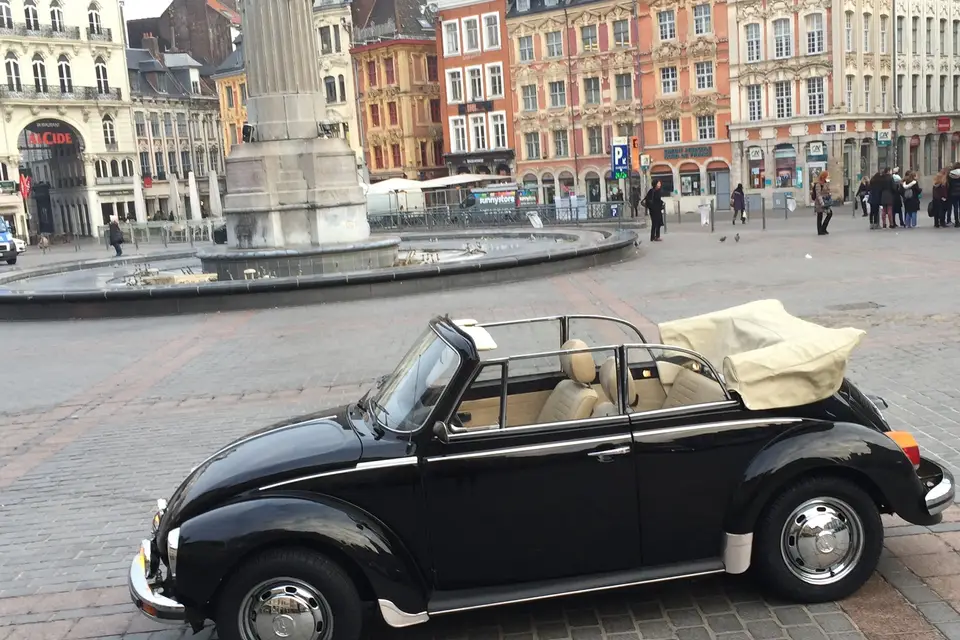 Coxlille — photo 8