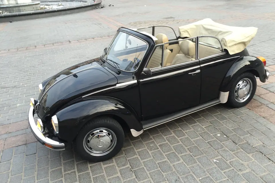 Coxlille — photo 4