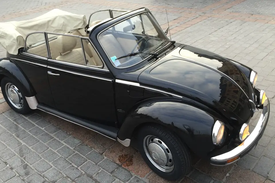 Coxlille — photo 5