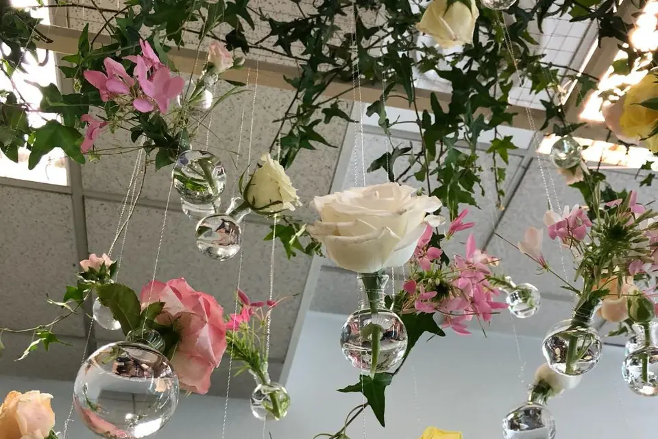 Conception Armonie — photo 1