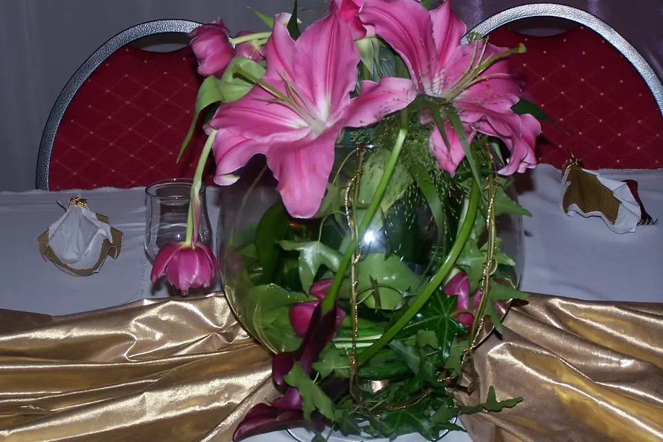 Conception Armonie — photo 2