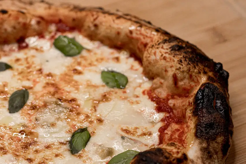 No Pineapple Pizza — photo 6