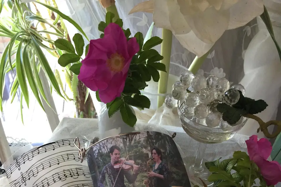 Ô sourire du loup — photo 2