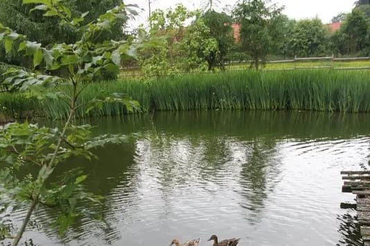 Le Clos Normand — photo 8