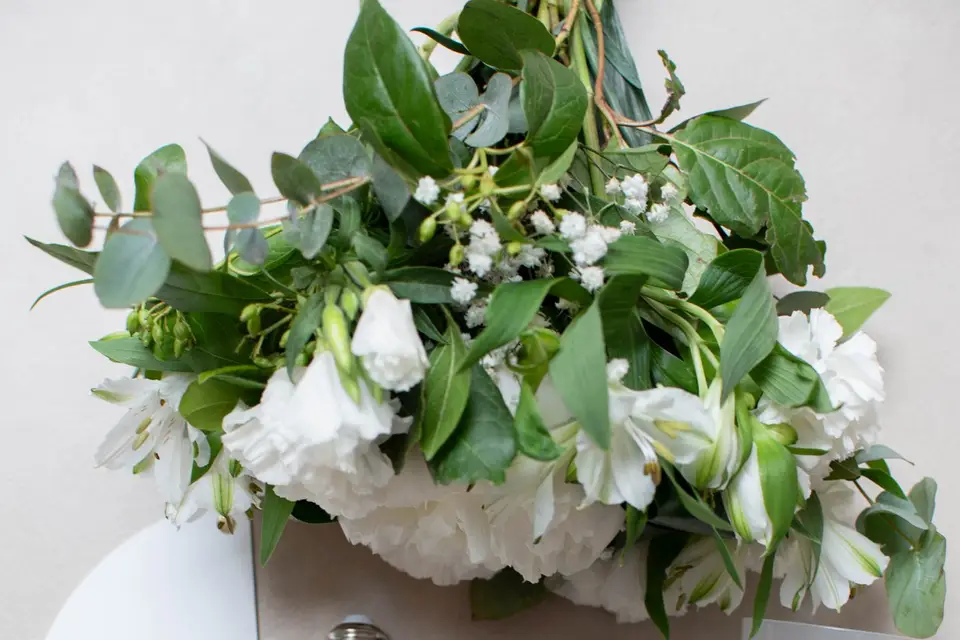 Lumea Studio — photo 4