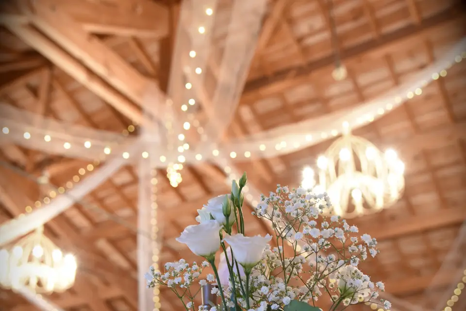 Pixlight Events — photo 4