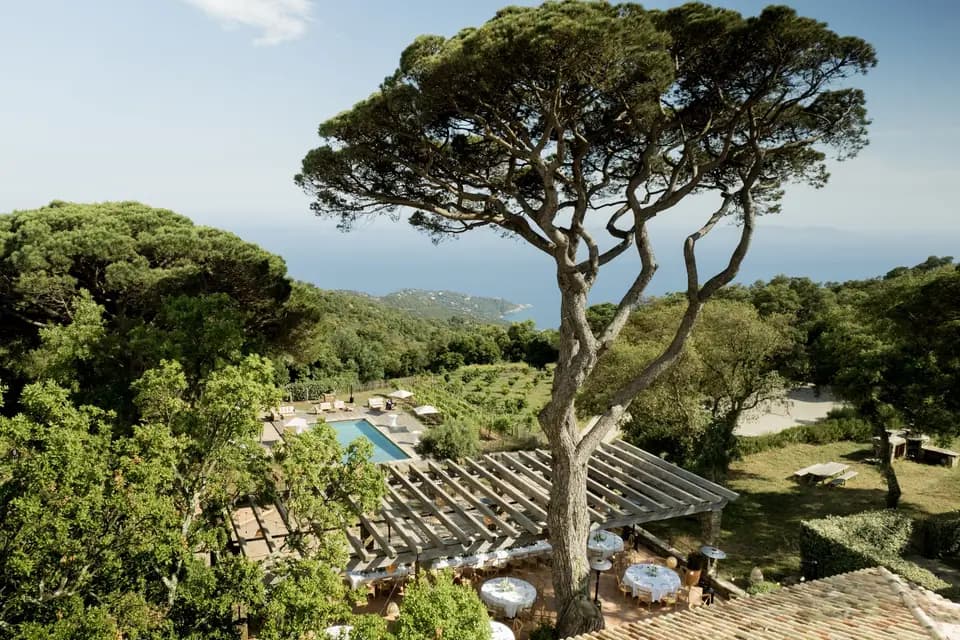 Le Relais du Vieux Sauvaire — photo 7