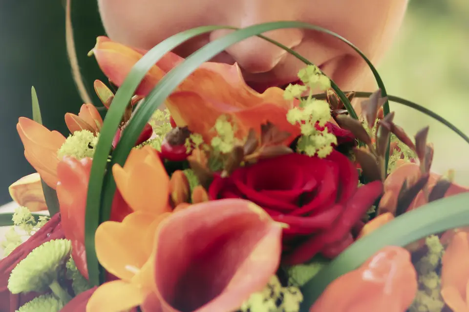 Reno Violo Artisan de l'Image — photo 8