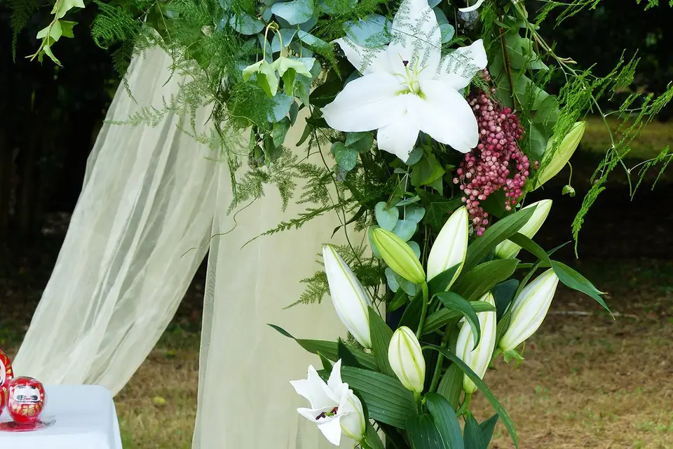 Plantapolis — photo 8