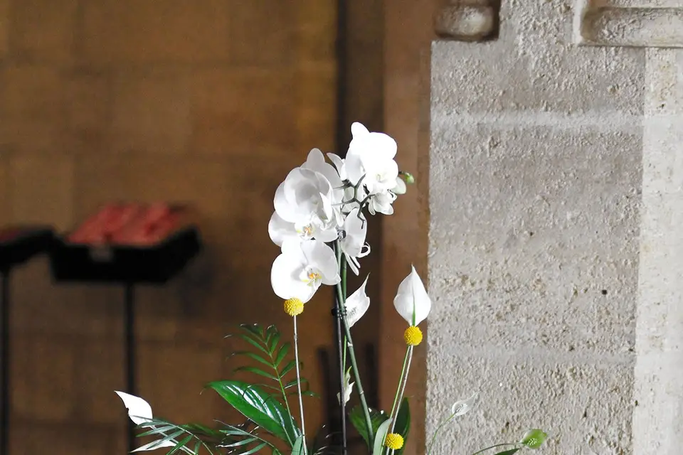 Plantapolis — photo 2