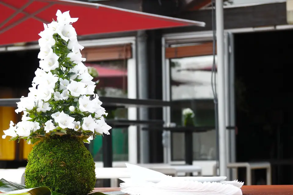 Plantapolis — photo 6