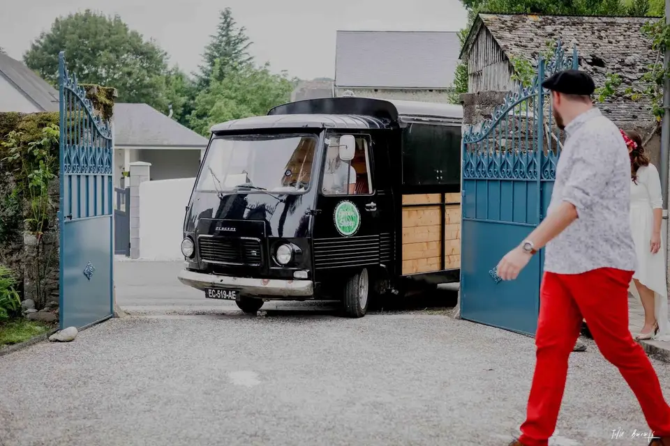 Greensheep — photo 7