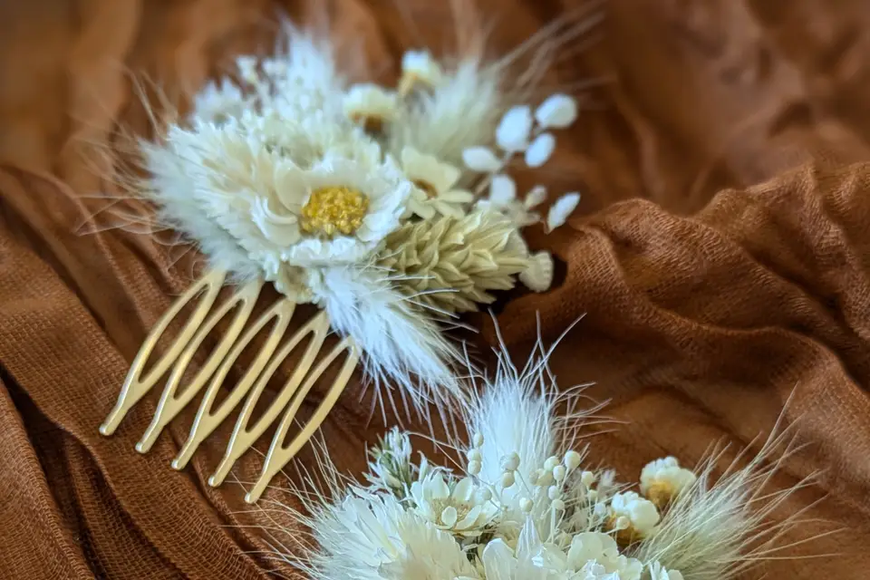 A l'Ombre des Platanes - Provence — photo 1