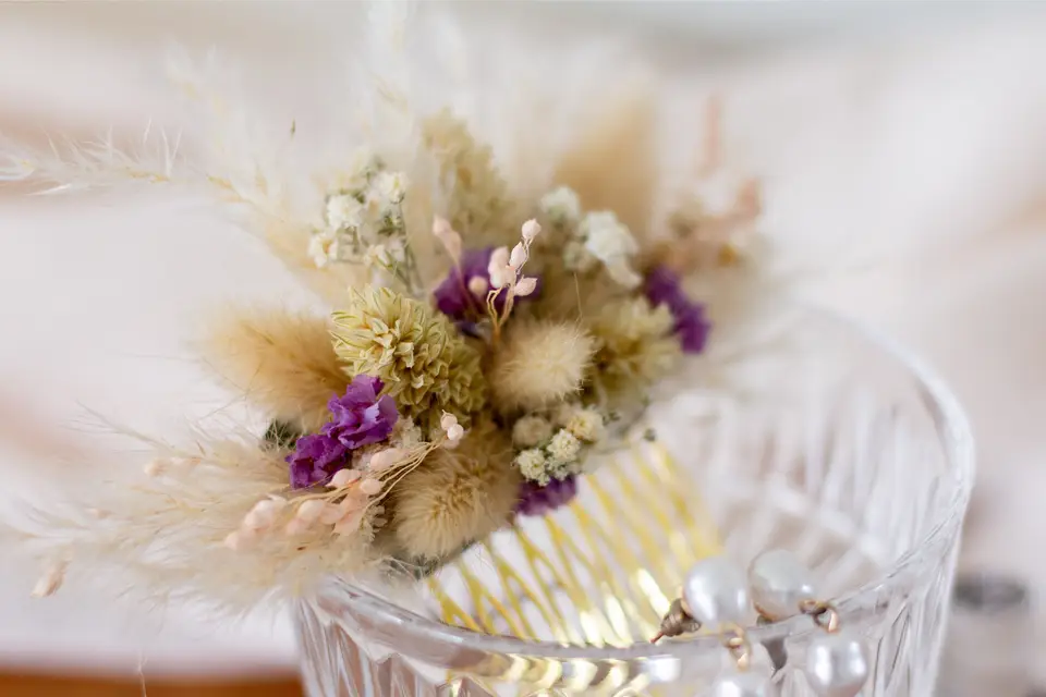 A l'Ombre des Platanes - Provence — photo 7