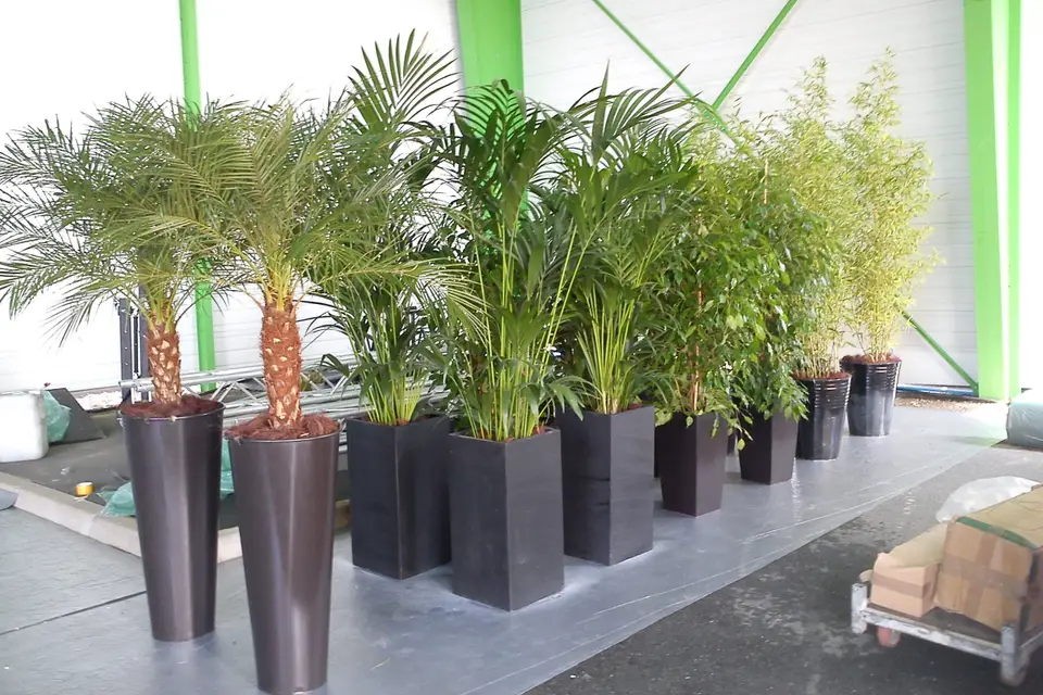 AG Création — photo 3